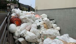 耐寒訓練ゴミ拾い アイキャッチ