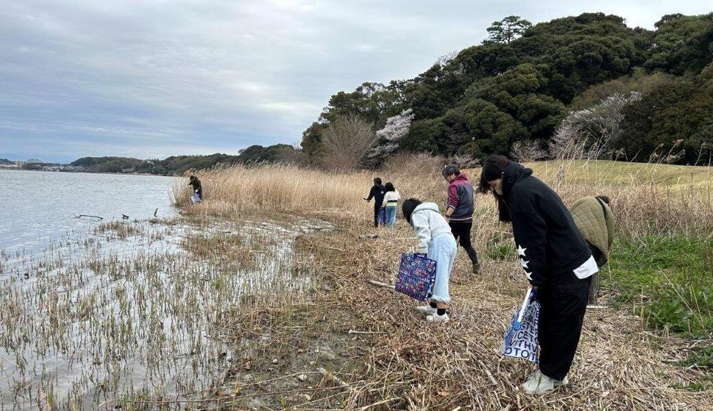 第88回 浜松海さくら 2025年5月17日（土）開催！！ アイキャッチ
