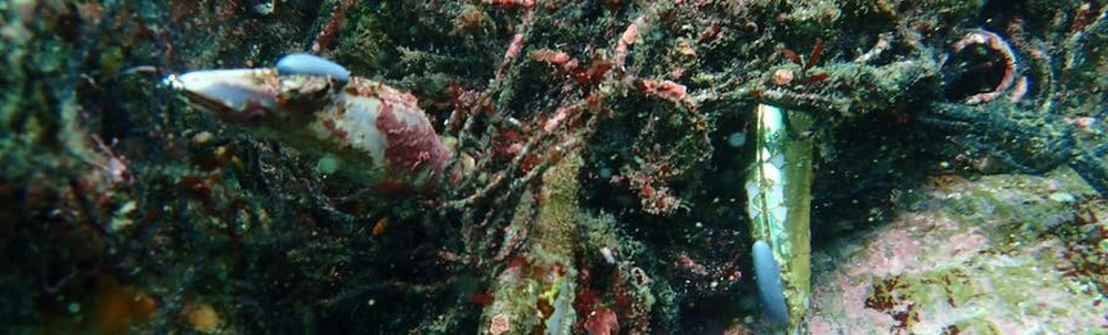 E☆D☆Party〜地球防衛隊〜 カバー