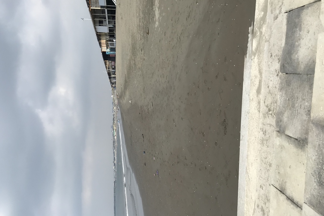 江ノ島 ゴミ拾いと... アイキャッチ