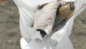 個人 アイキャッチ