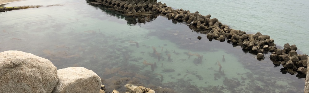 Divrer's club OCEAN カバー