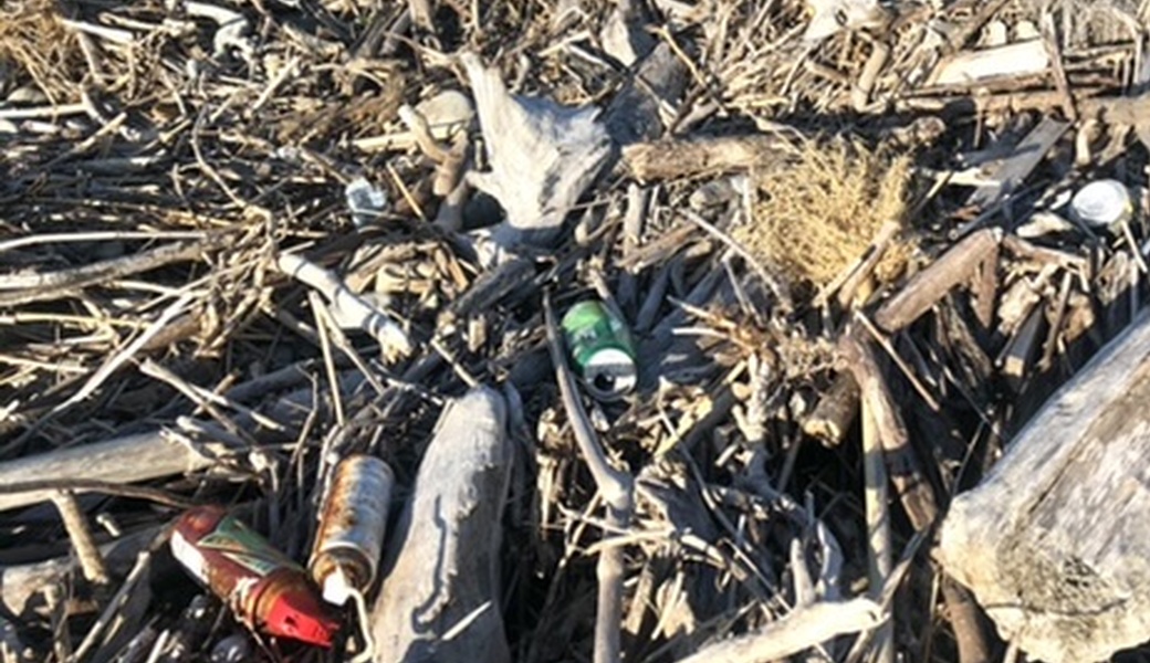 環境プロジェクト！安倍川最下流、大浜海岸ゴミ拾い レポート