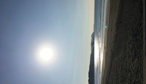 AKメンバーで楽しむ！ビーチヨガ&クリーンアップ アイキャッチ