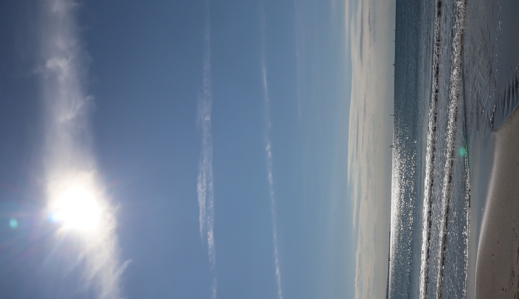 ♡海と太陽の恵みに感謝♡まゆみんのビーチヨガ&クリーン アイキャッチ