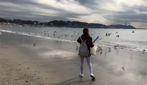 ♡海と太陽の恵みに感謝♡まゆみんのヨガとビーチクリ ... アイキャッチ