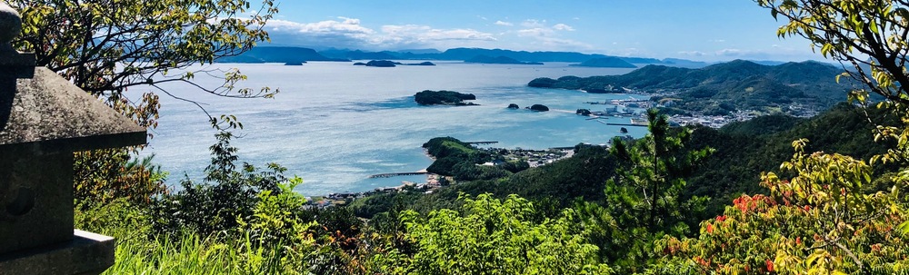 Catch the Wind カバー