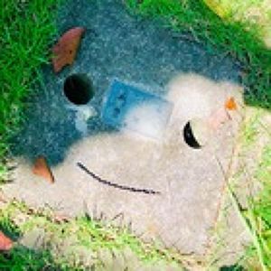 Catch the Windプロフィール