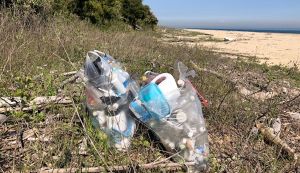 三都  白浜でのゴミ拾い アイキャッチ