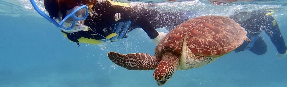 OCEANZ - オーシャンズ カバー