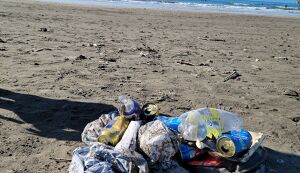 第11回　地球を守ろう！東京・神奈川ビーチクリーン ... アイキャッチ