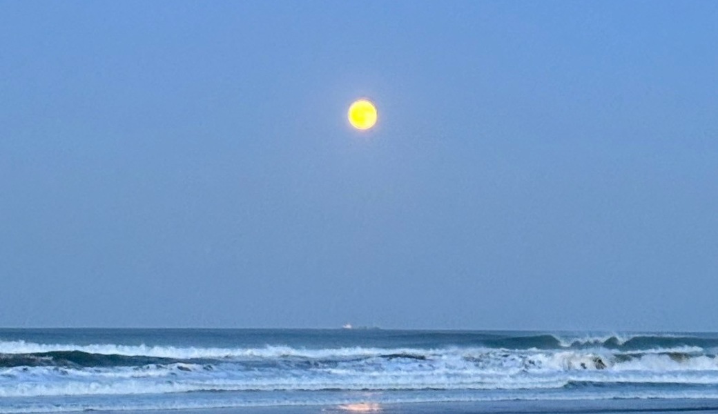 平井海岸ビーチクリーン アイキャッチ