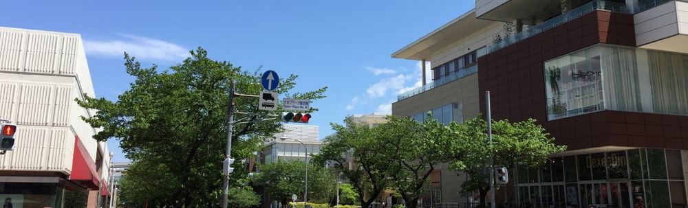 青葉ルンバ隊 カバー