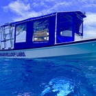 マーヴェラスプレジャー石垣 プロフィール