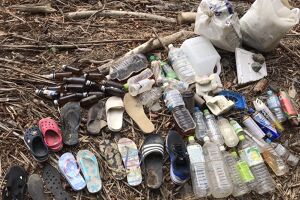 今年初の川掃除 アイキャッチ