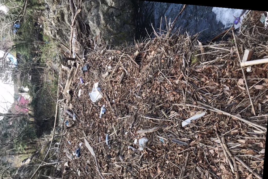 デイキャンプ場の川掃除 アイキャッチ