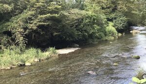 春の清流名栗川をクリーニング アイキャッチ