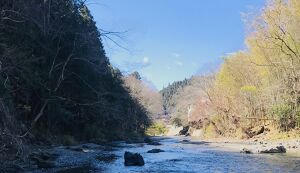 清流入間川のゴミ拾い アイキャッチ