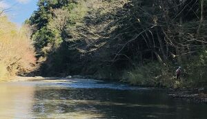 春の清流名栗川をクリーニング アイキャッチ