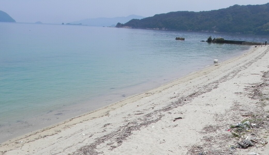 海辺の掃除会ｉｎ白鳥ケ浜 アイキャッチ