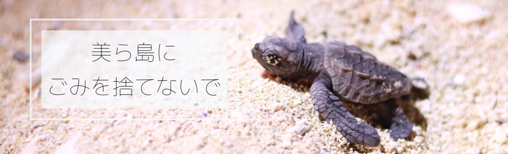 フォト&クリーン　なちゅら カバー