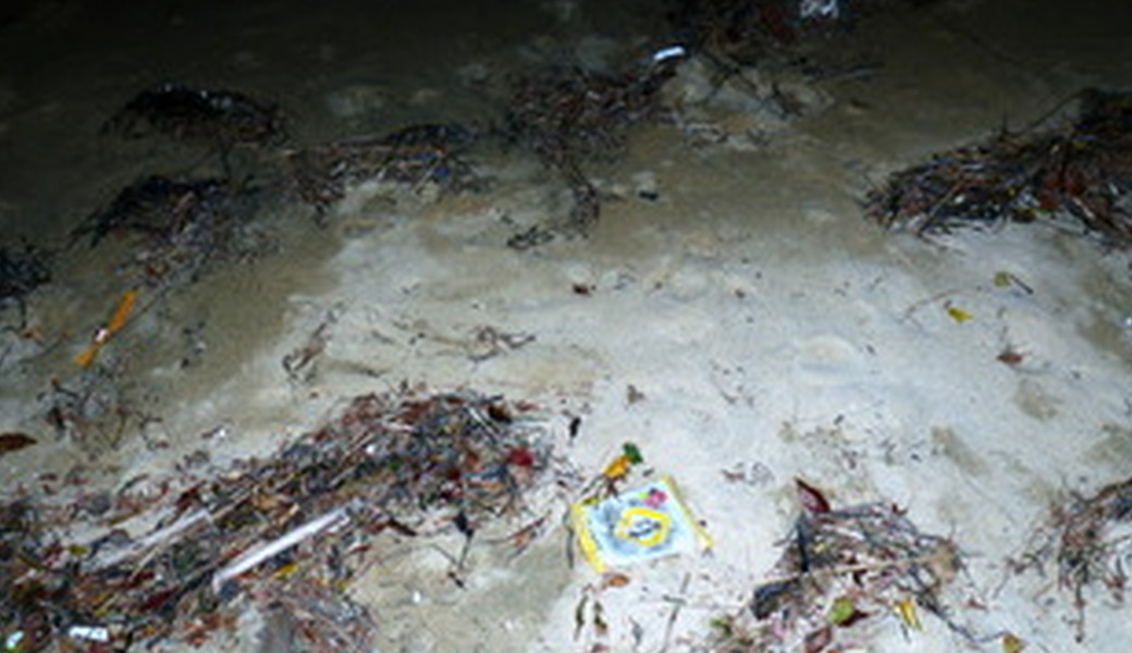 小戸公園海浜公園クリーンアップ大作戦 アイキャッチ