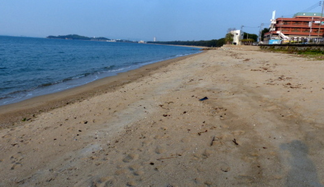 生の松原海浜公園クリーンアップ大作戦 アイキャッチ