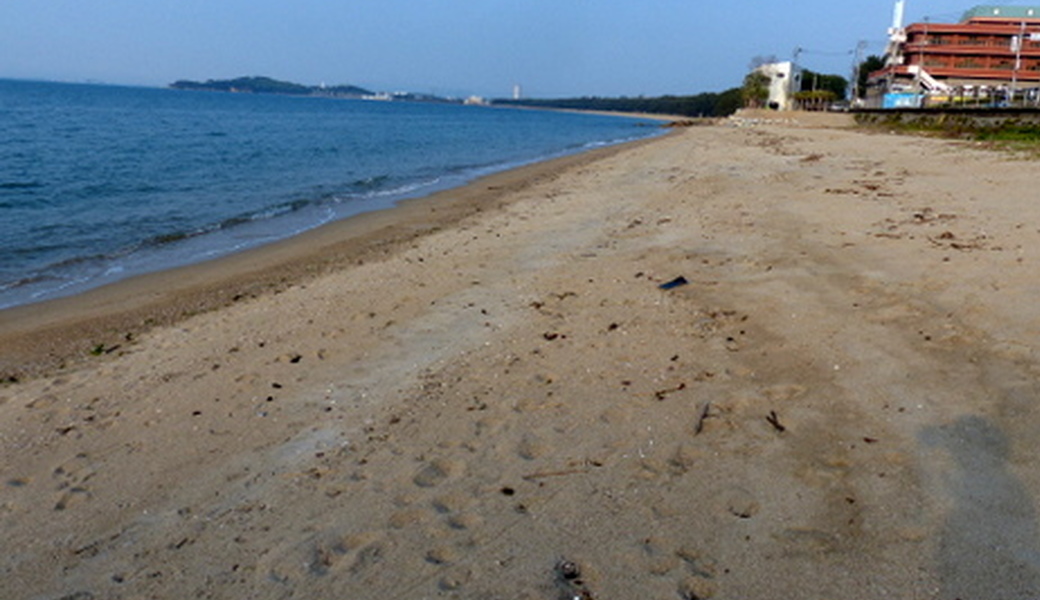 生の松原海浜公園クリーンアップ大作戦 アイキャッチ