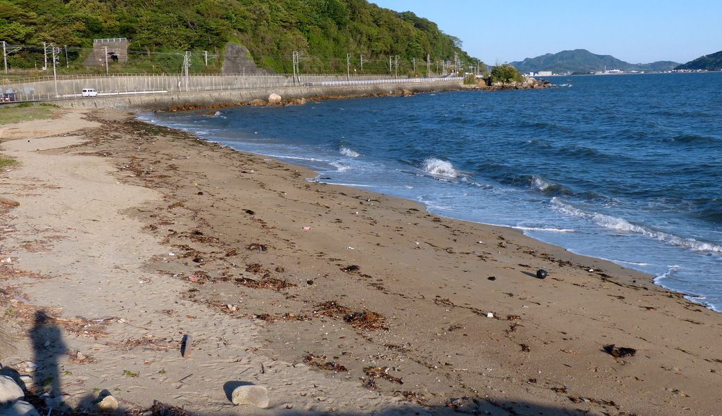 生の松原海浜公園くりーンアップ大作戦 アイキャッチ
