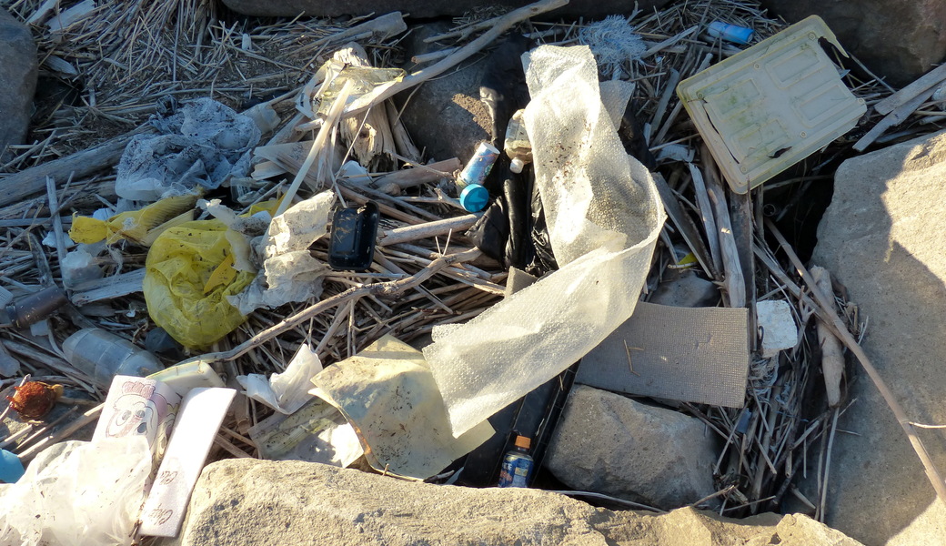 生の松原海浜公園クリーンアップ大作戦 アイキャッチ