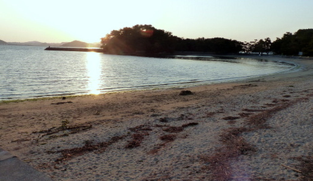 小戸公園海浜公園クリーンアップ大作戦 レポート