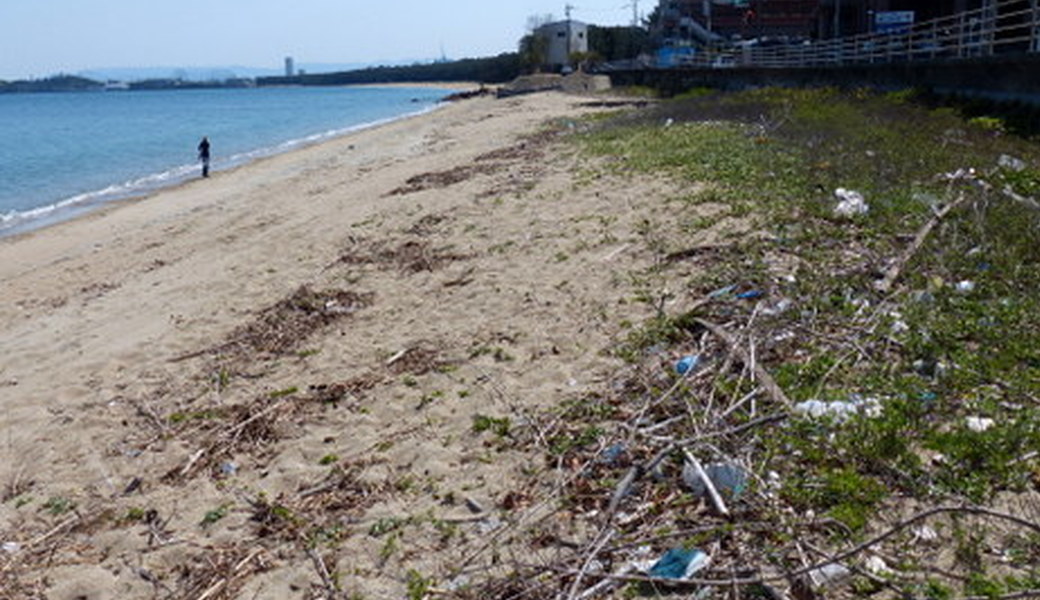 生の松原海浜公園クリーン大作戦 レポート