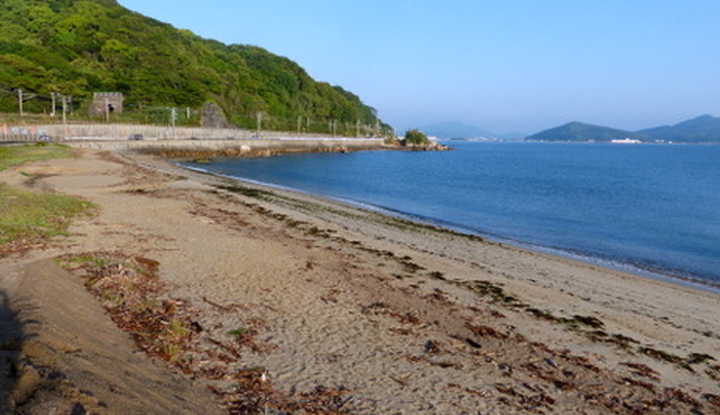 生の松原海浜公園くりーンアップ大作戦 レポート