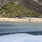 大島ビーチクリーンアップヒトデ プロフィール