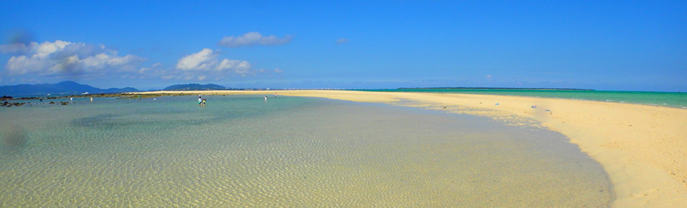 有限会社　マリンポイント カバー