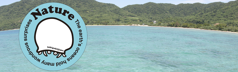 ネイチャー石垣島ダイビングサービス カバー