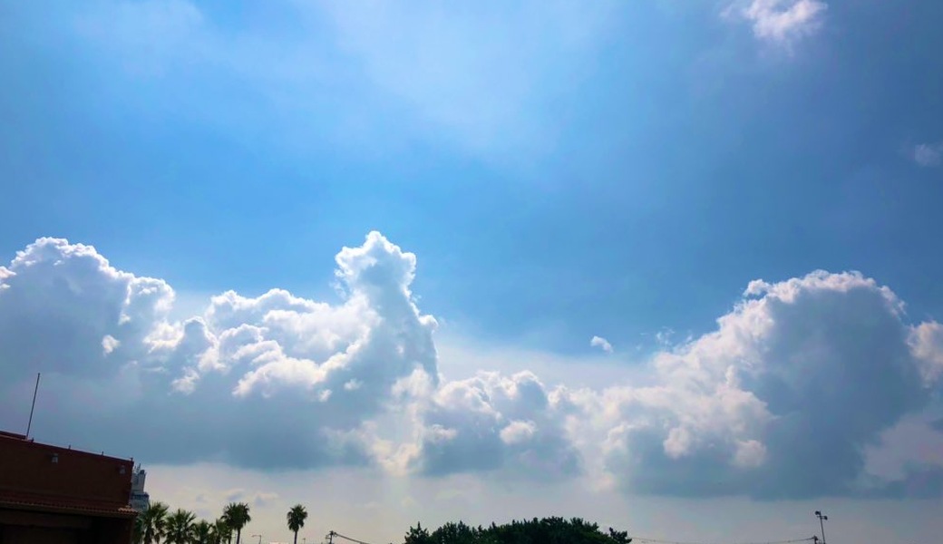 秋分の日に夏の余韻をゴミ拾いで感じるぞ大作戦 アイキャッチ