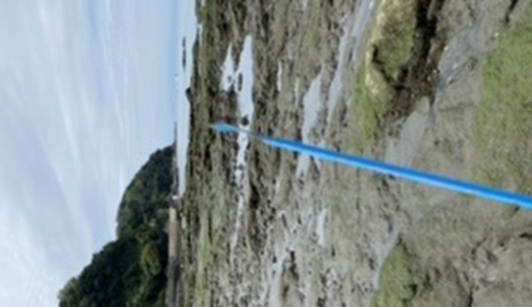 『WCD 2020』世界中で地球を綺麗にしちゃうぞ レポート