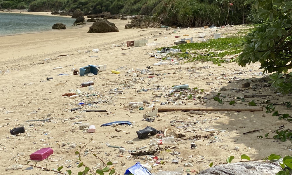 浦底ビーチ右側清掃 アイキャッチ