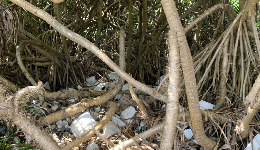 海ごみゼロウィーク2021浦底海岸 アイキャッチ