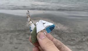 ビーチクリーンアップ with SOA Japan アイキャッチ