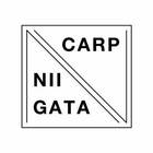 新潟CARP プロフィール