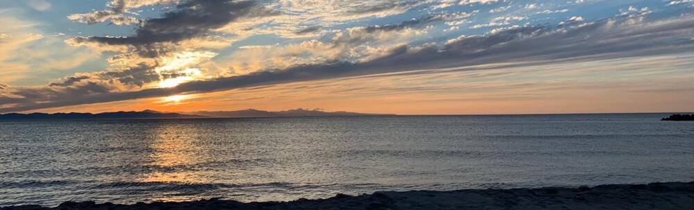 新潟CARP カバー