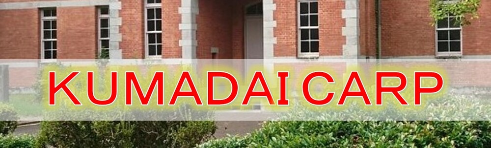 熊大CARP カバー