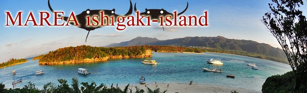 マレア石垣島店 カバー