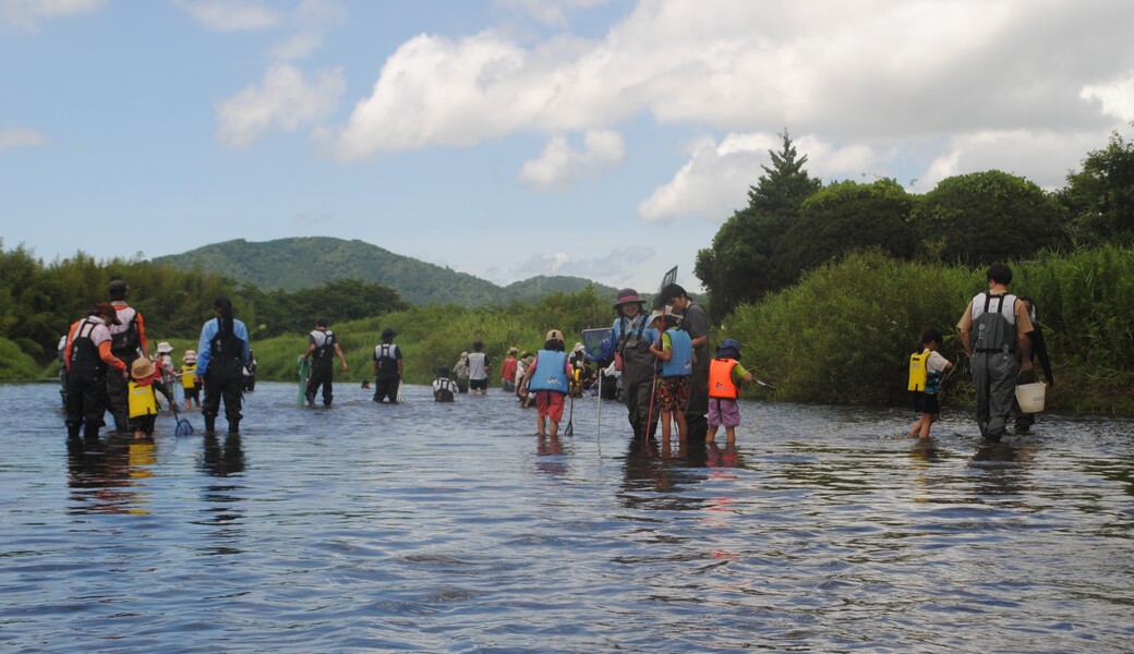 水質調査と水辺の自然観察会 レポート