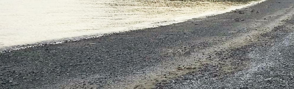 うみもりプロジェクト カバー