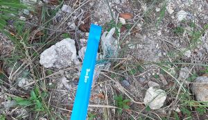 うみもりプロジェクト道路のゴミ拾い アイキャッチ