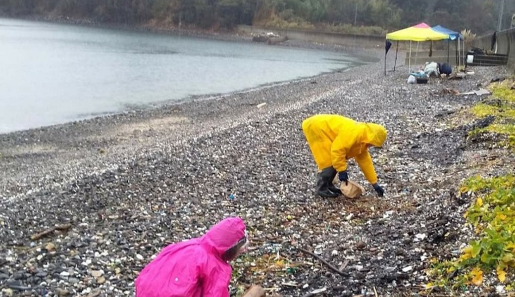 うみもりプロジェクト海岸清掃 レポート