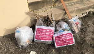 【WeBase鎌倉集合】由比ガ浜ビーチクリーン アイキャッチ